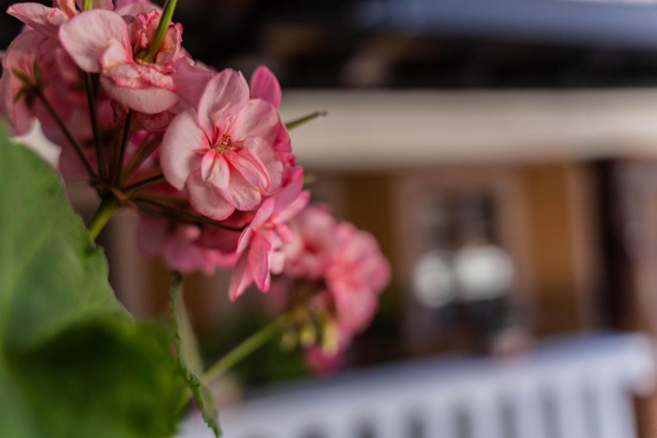 Casa Graciela Hotel Pátzcuaro 外观 照片